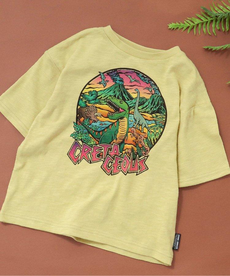福井縣立恐龍博物館聯名白堊紀恐龍T恤