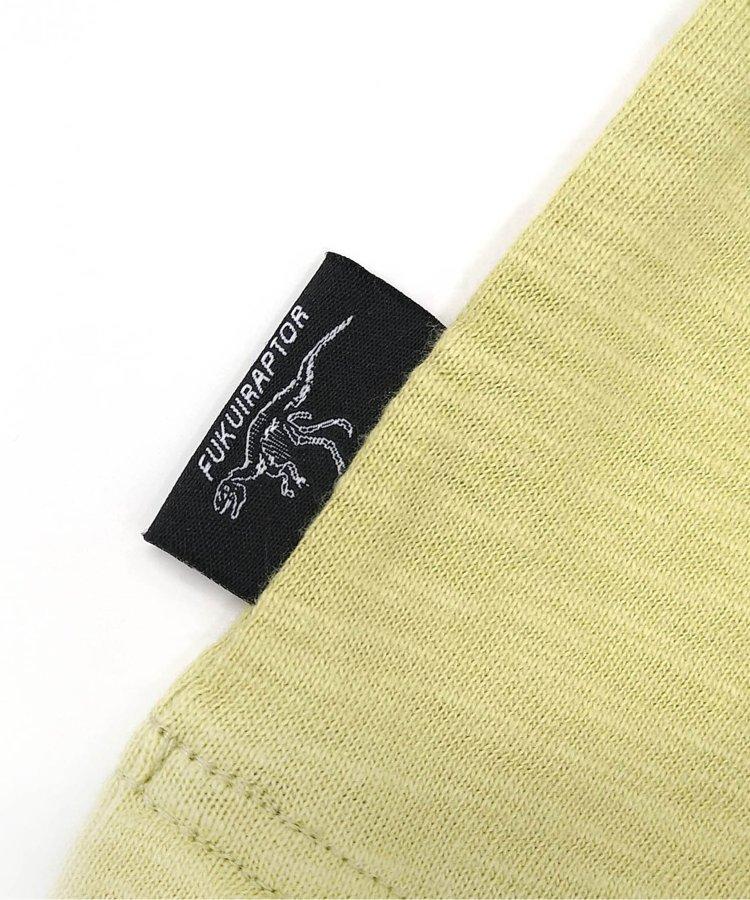 福井縣立恐龍博物館聯名白堊紀恐龍T恤