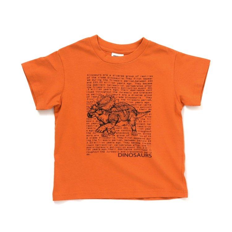 3件恐龍logo T恤