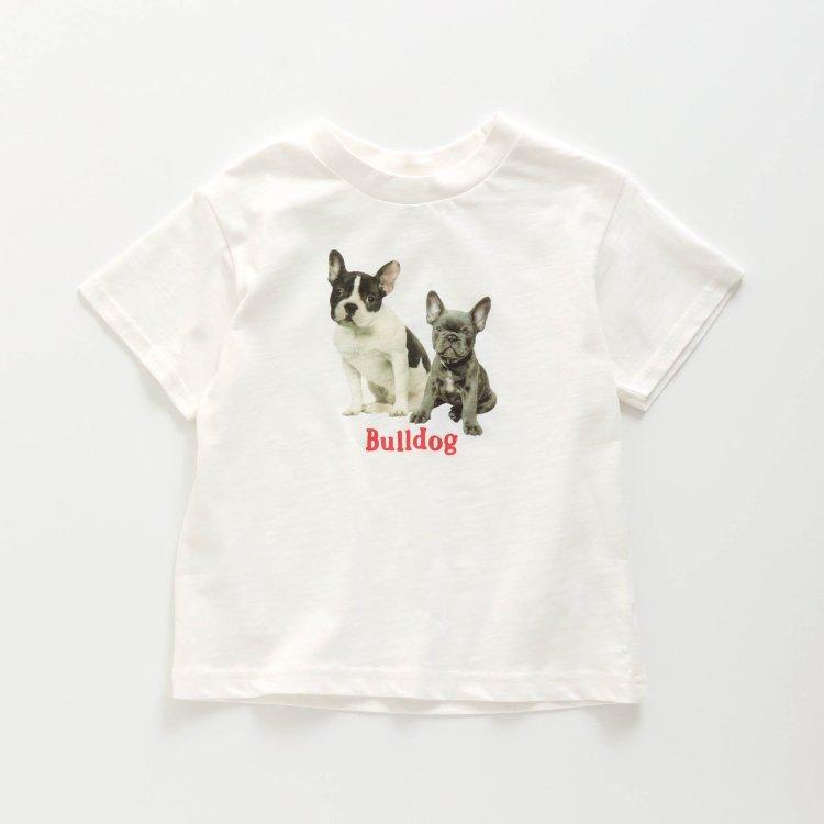 5件照片印花T恤