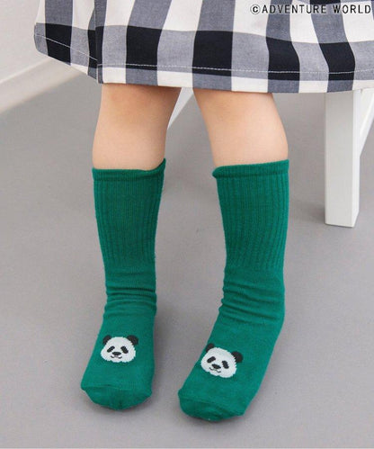3P套裝 冒險世界/親子襪