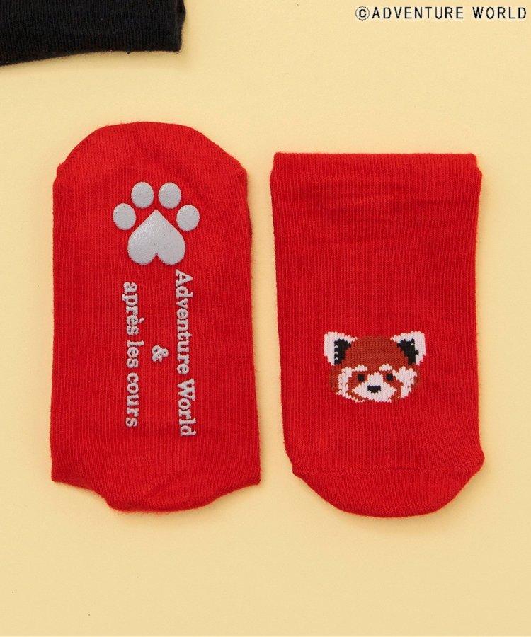 3P套裝 冒險世界/親子襪