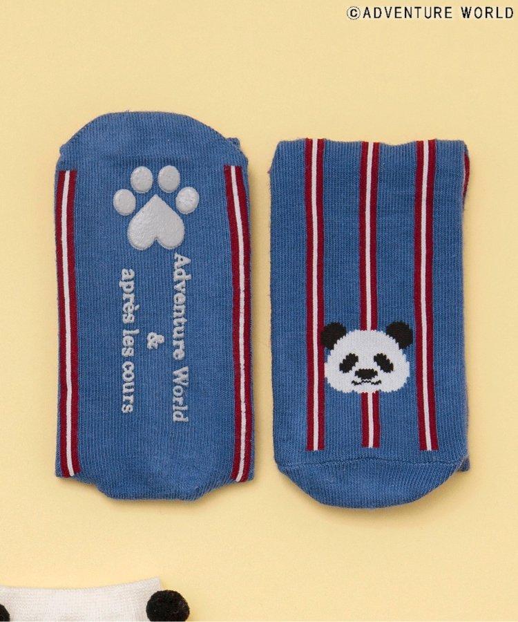 3P套裝 冒險世界/親子襪