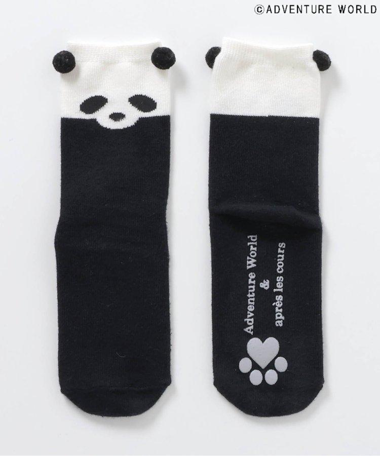 3P套裝 冒險世界/親子襪