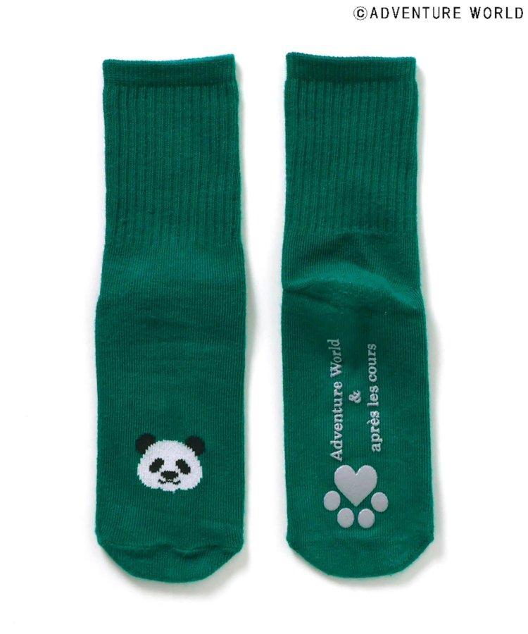 3P套裝 冒險世界/親子襪