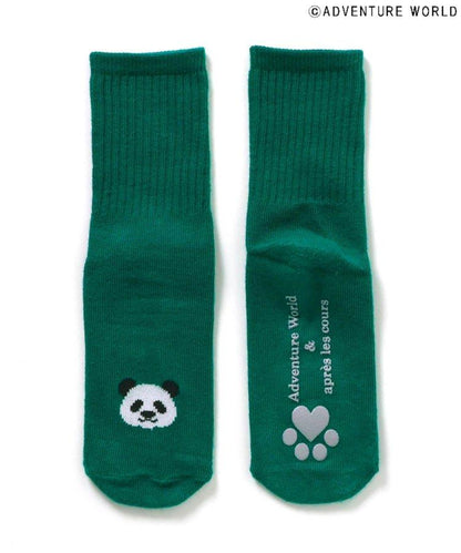 3P套裝 冒險世界/親子襪