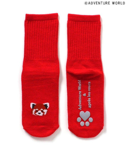 3P套裝 冒險世界/親子襪