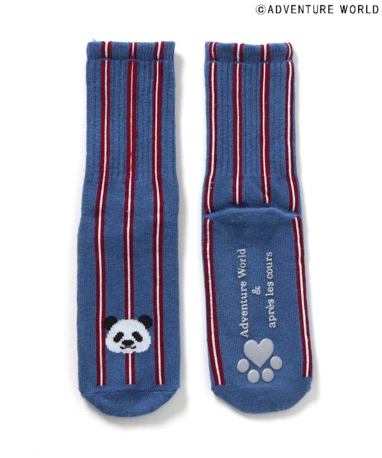 3P套裝 冒險世界/親子襪