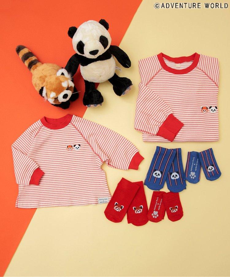 3P套裝 冒險世界/親子襪