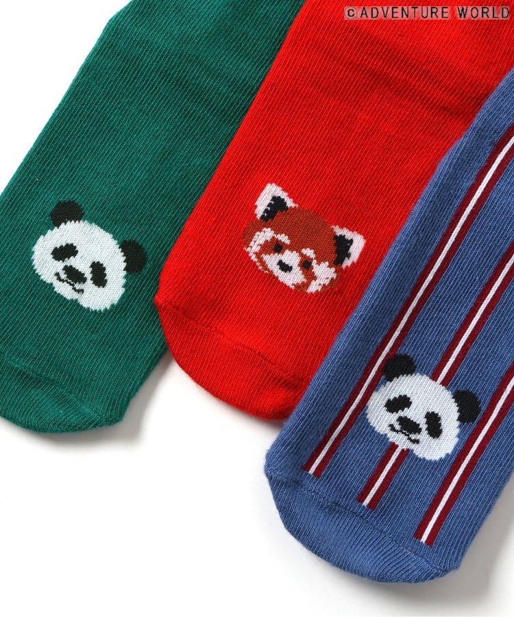 3P套裝 冒險世界/親子襪