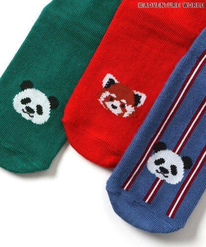 3P套裝 冒險世界/親子襪