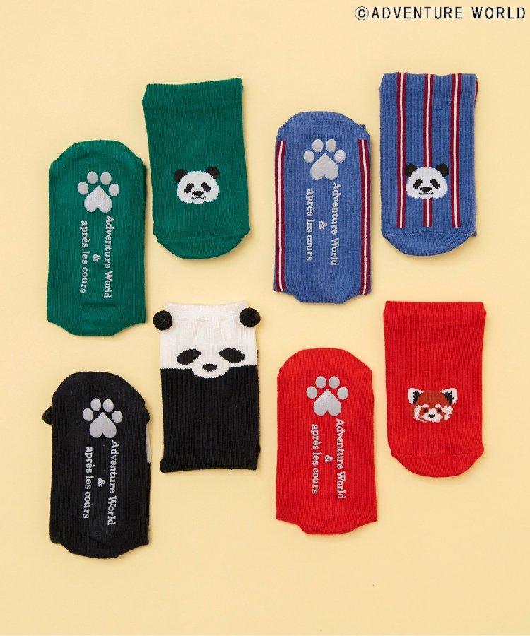 3P套裝 冒險世界/親子襪
