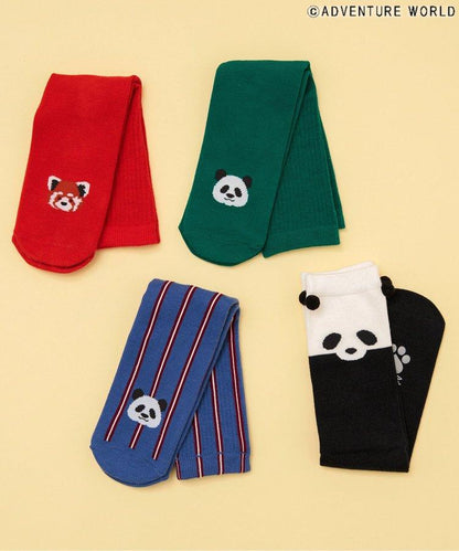 3P套裝 冒險世界/親子襪