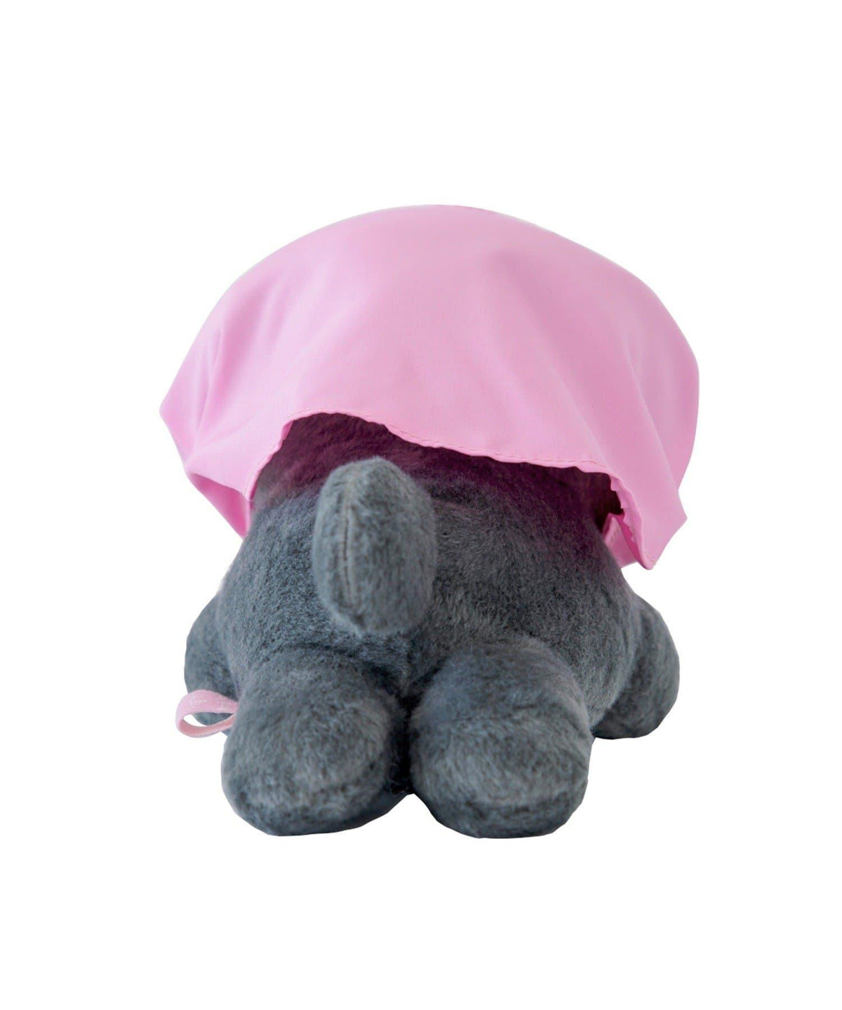 170255852