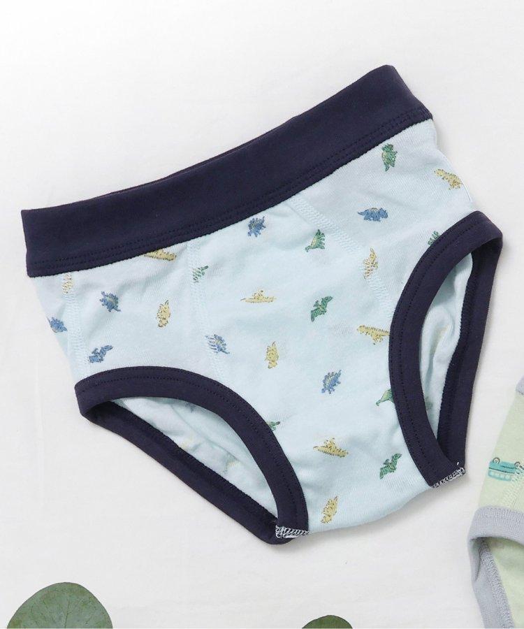 3P套裝 男童恐龍汽車圖案三角褲