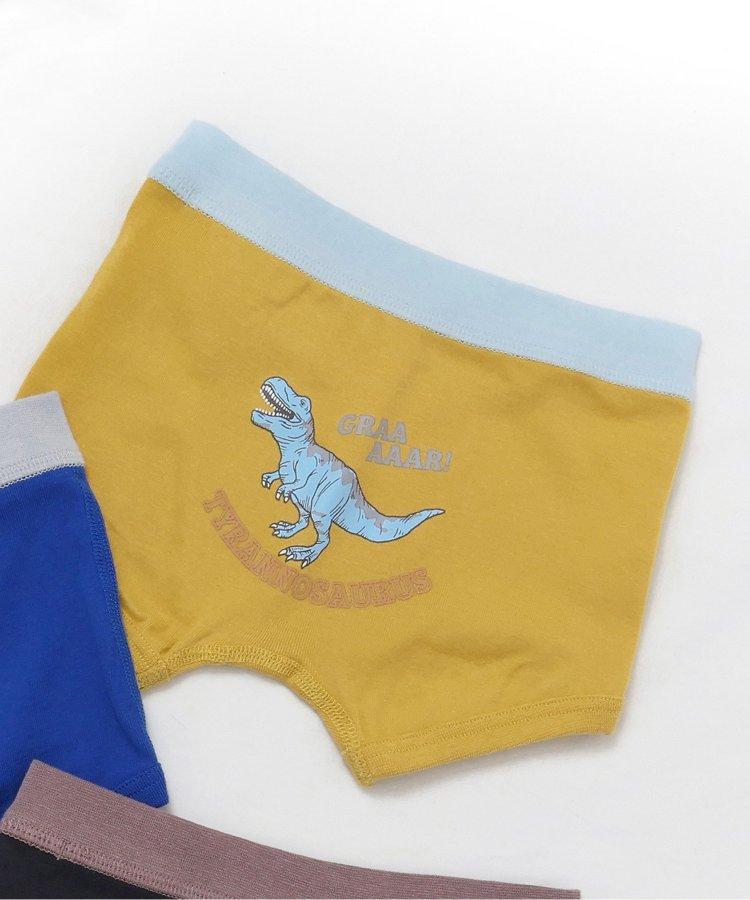 3P套裝 男童車輛恐龍後背印花褲子