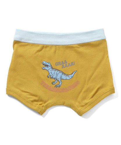 3P套裝 男童車輛恐龍後背印花褲子