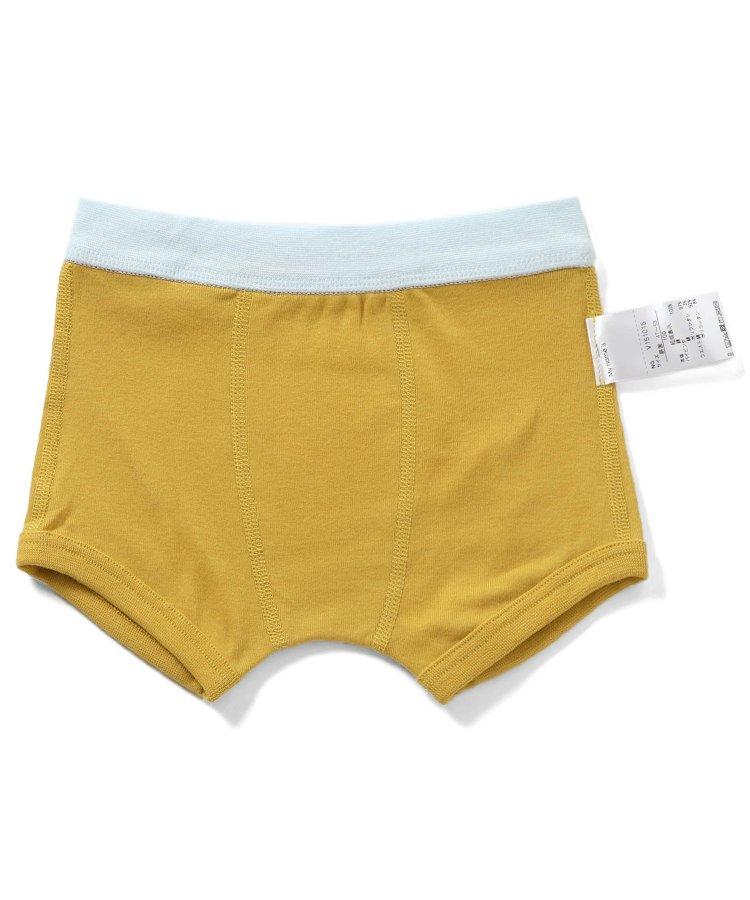 3P套裝 男童車輛恐龍後背印花褲子