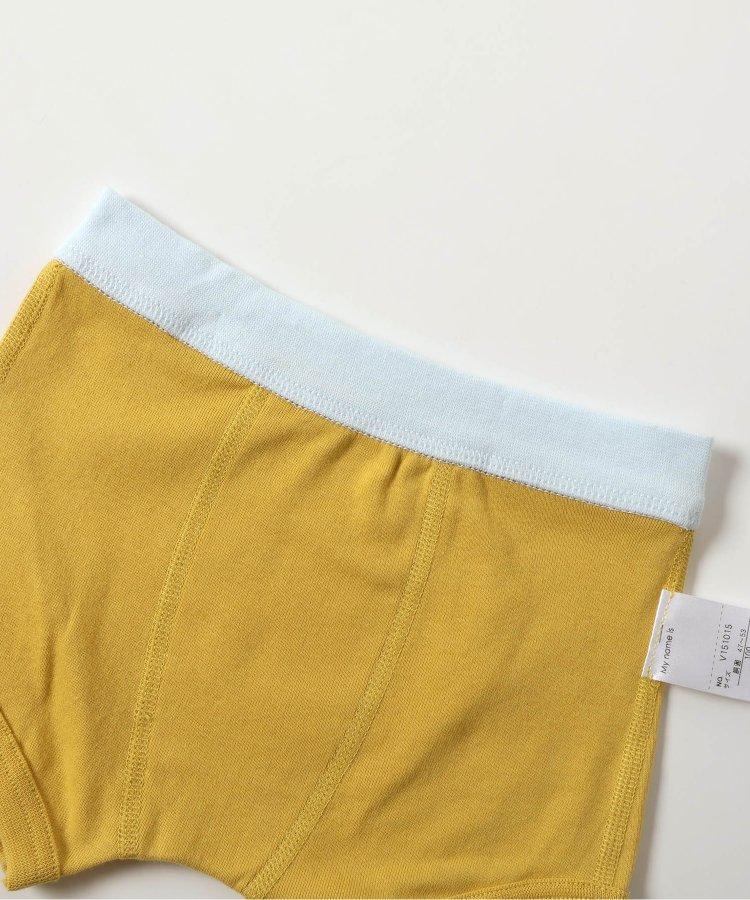 3P套裝 男童車輛恐龍後背印花褲子