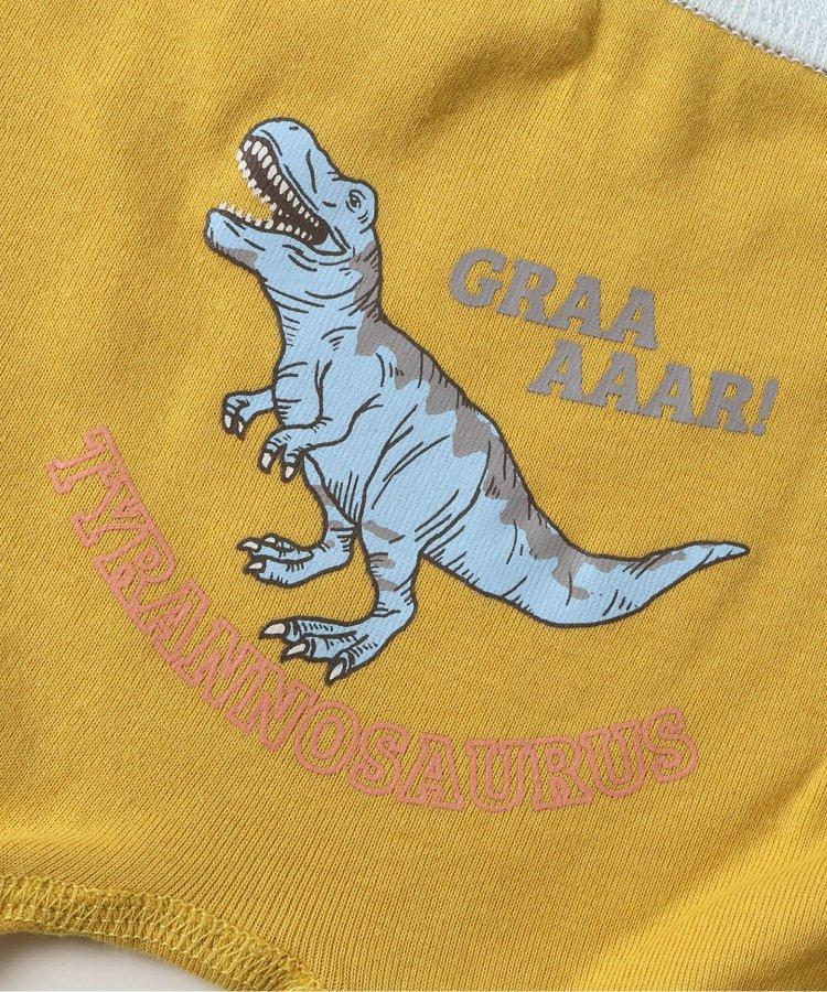 3P套裝 男童車輛恐龍後背印花褲子