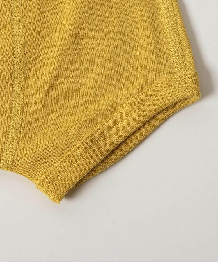 3P套裝 男童車輛恐龍後背印花褲子