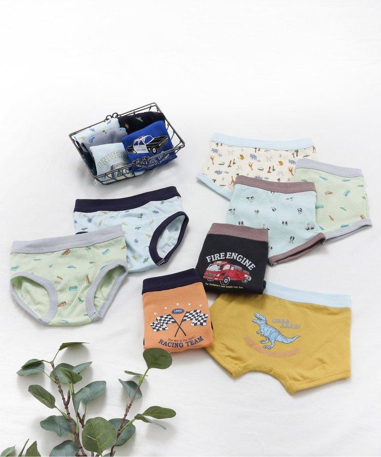 3P套裝 男童恐龍圖案褲子