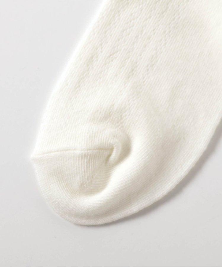 3P套裝 絲綢蕾絲襪