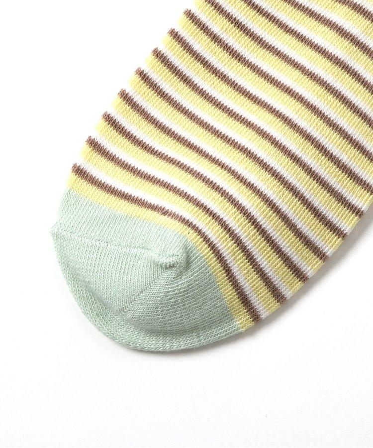 3件套 4款混搭短襪