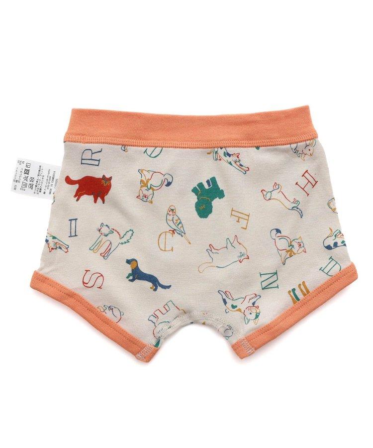 3P套裝 多樣化 男士內褲 B