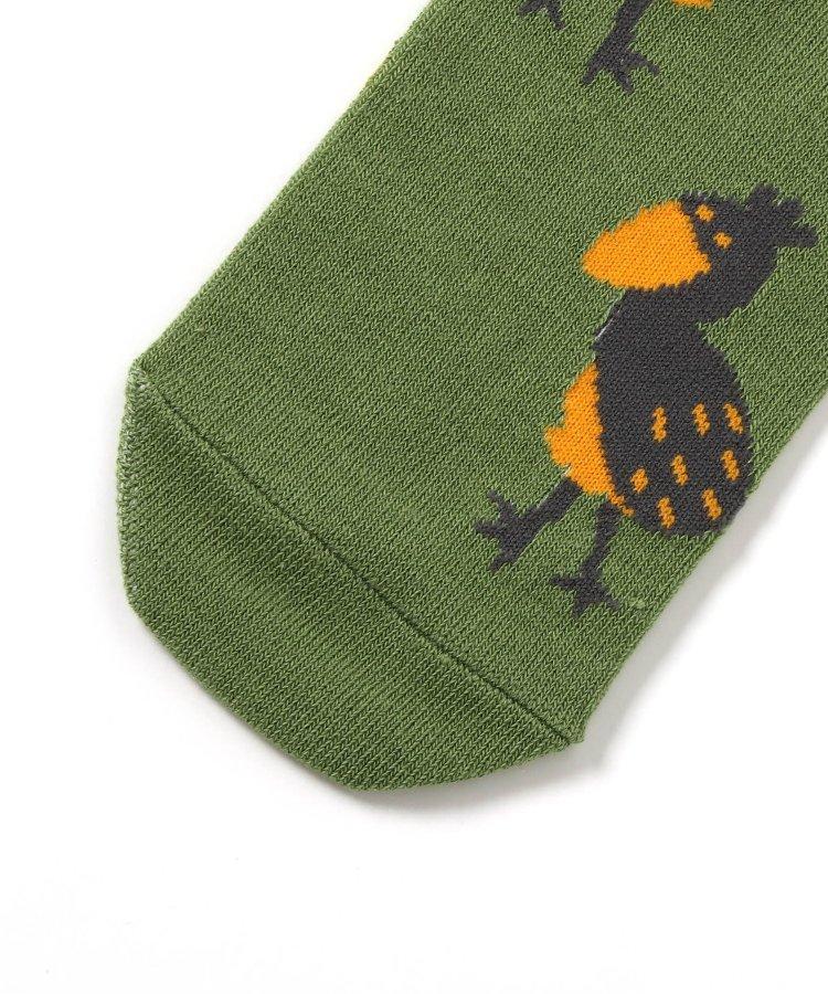 3P動物圖案長筒襪