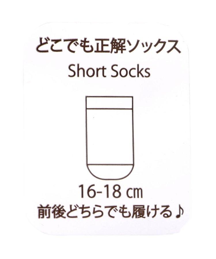 3P動物圖案長筒襪