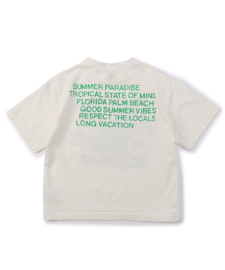 棕櫚灘印花恐龍T恤