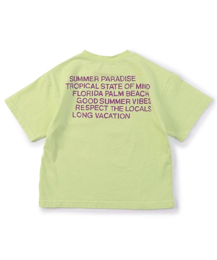 棕櫚灘印花恐龍T恤