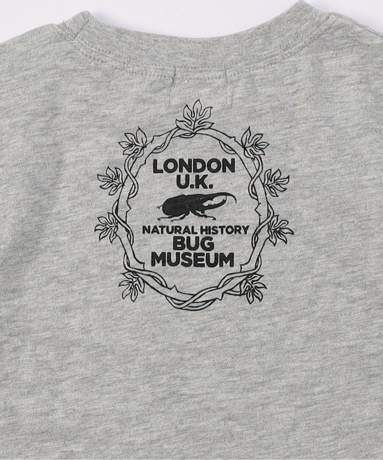 鹿角甲蟲T恤