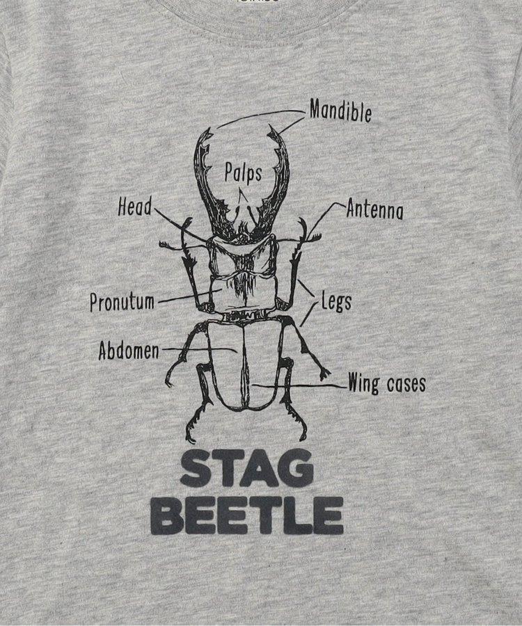 鹿角甲蟲T恤