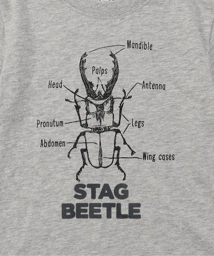 鹿角甲蟲T恤