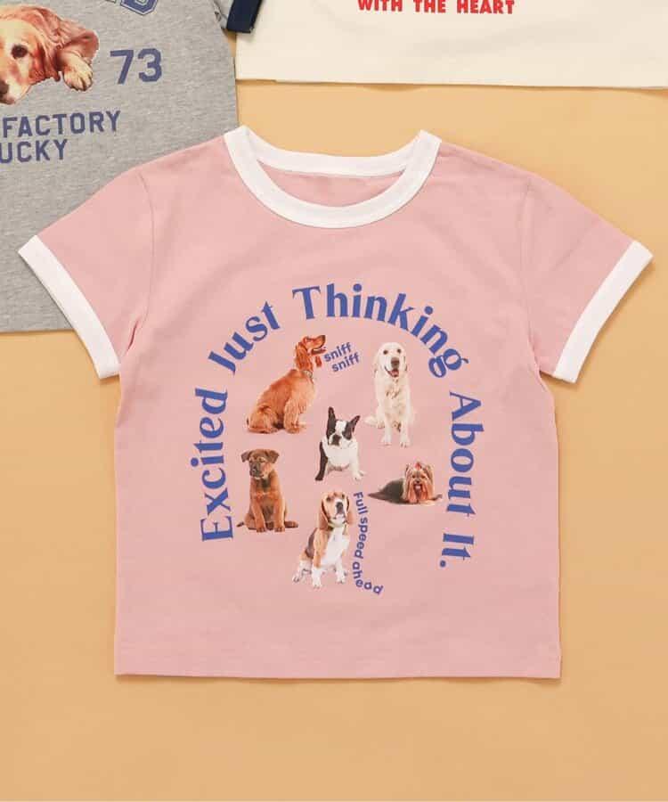 【連衣裙】精彩領口狗學院T恤