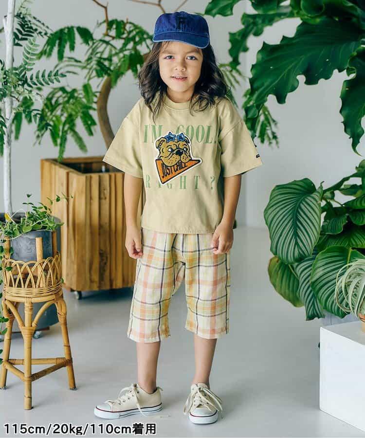 3件塞拉瓦彭T恤