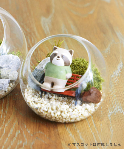 苔プリガラスドーム10cm