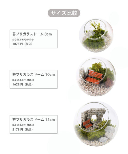 苔プリガラスドーム10cm