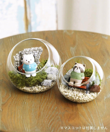 苔プリガラスドーム10cm