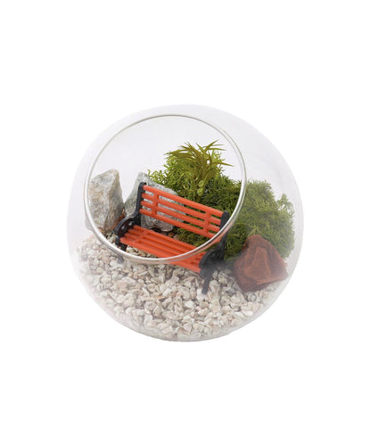 苔プリガラスドーム10cm