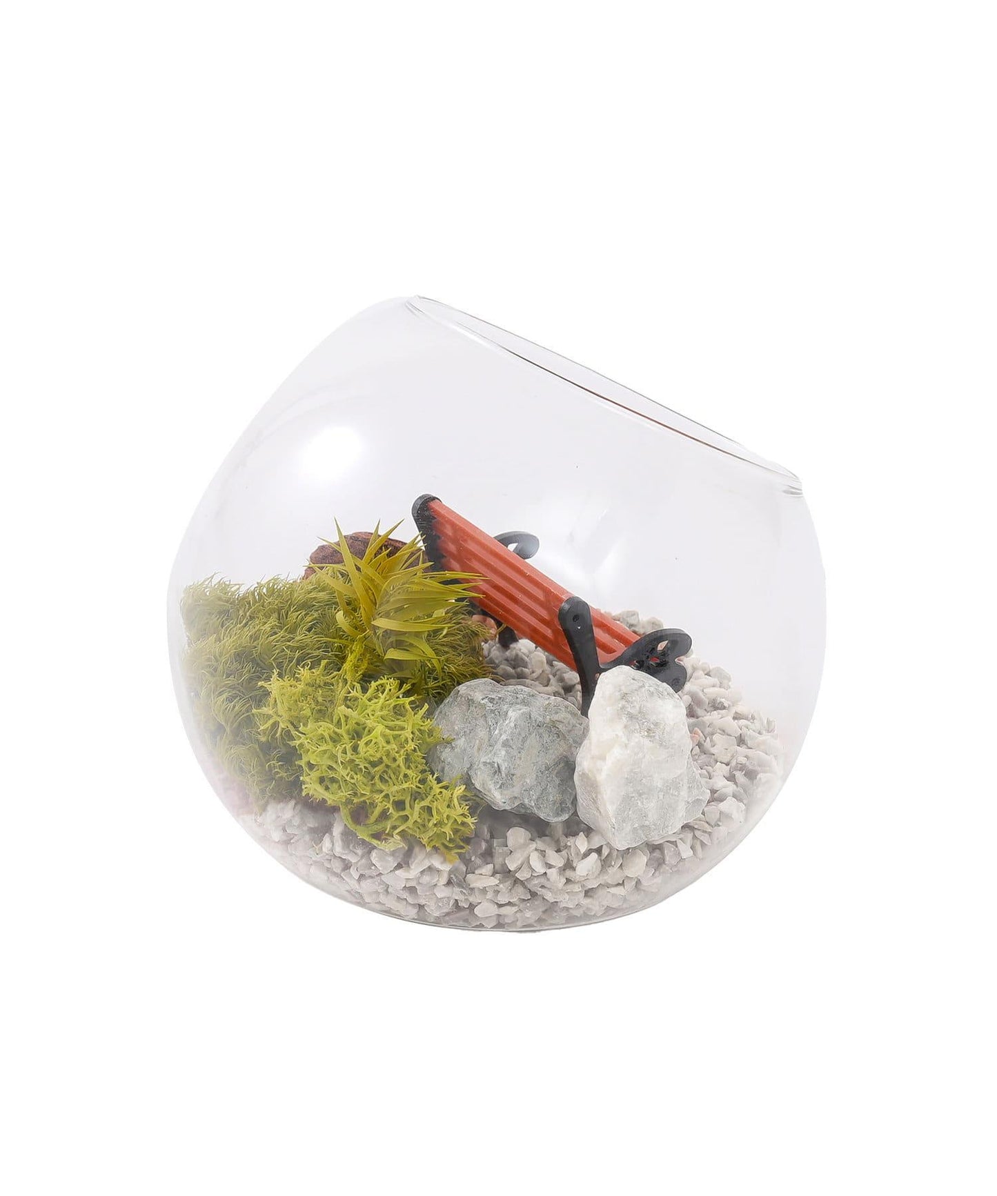 苔プリガラスドーム10cm
