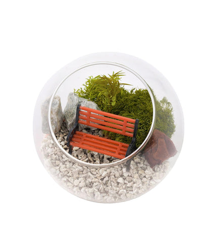 苔プリガラスドーム10cm