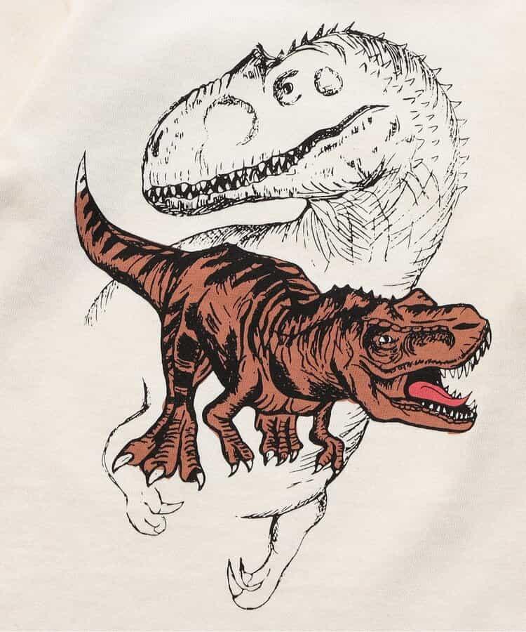 I LOVE DINO 3款T恤