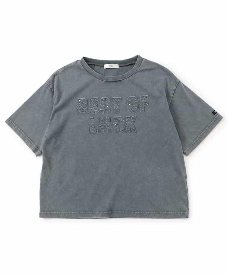 顏料風刺繡logo T-shirt