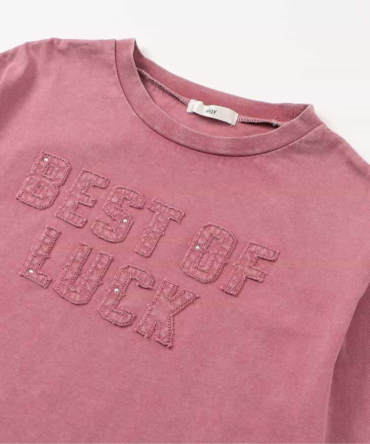 顏料風刺繡logo T-shirt