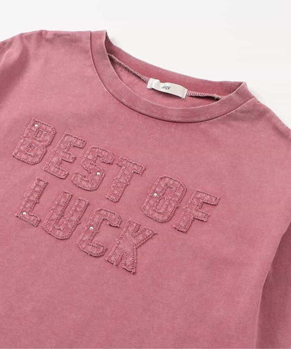 顏料風刺繡logo T-shirt