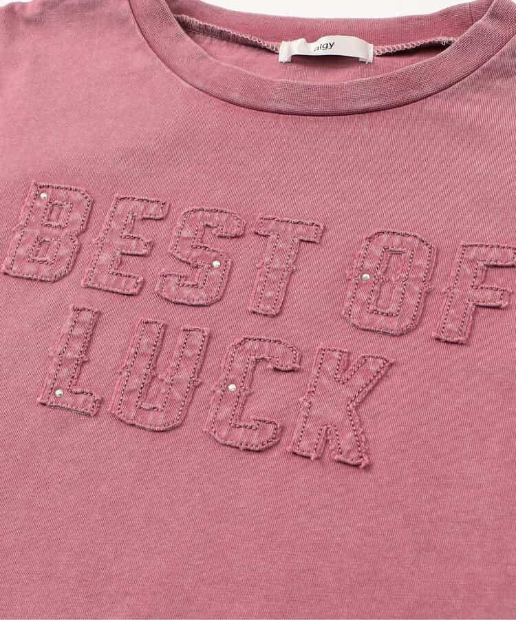 顏料風刺繡logo T-shirt