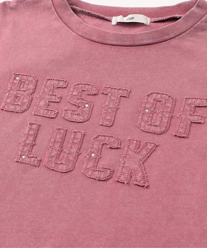 顏料風刺繡logo T-shirt